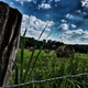 Illustration for article titled Pics from southern Indiana
